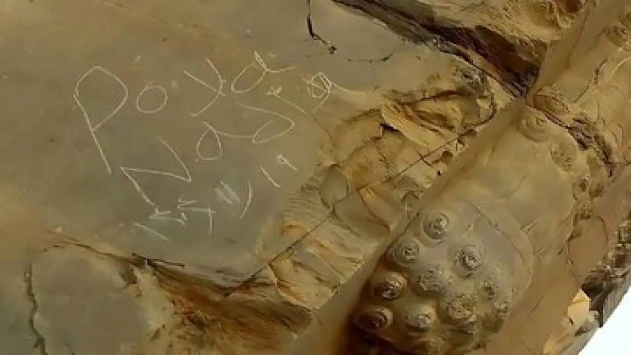 یادگاری نویسی از دروازه ملل تخت جمشید پاک شد -  پرونده متخلفان در دستگاه قضایی