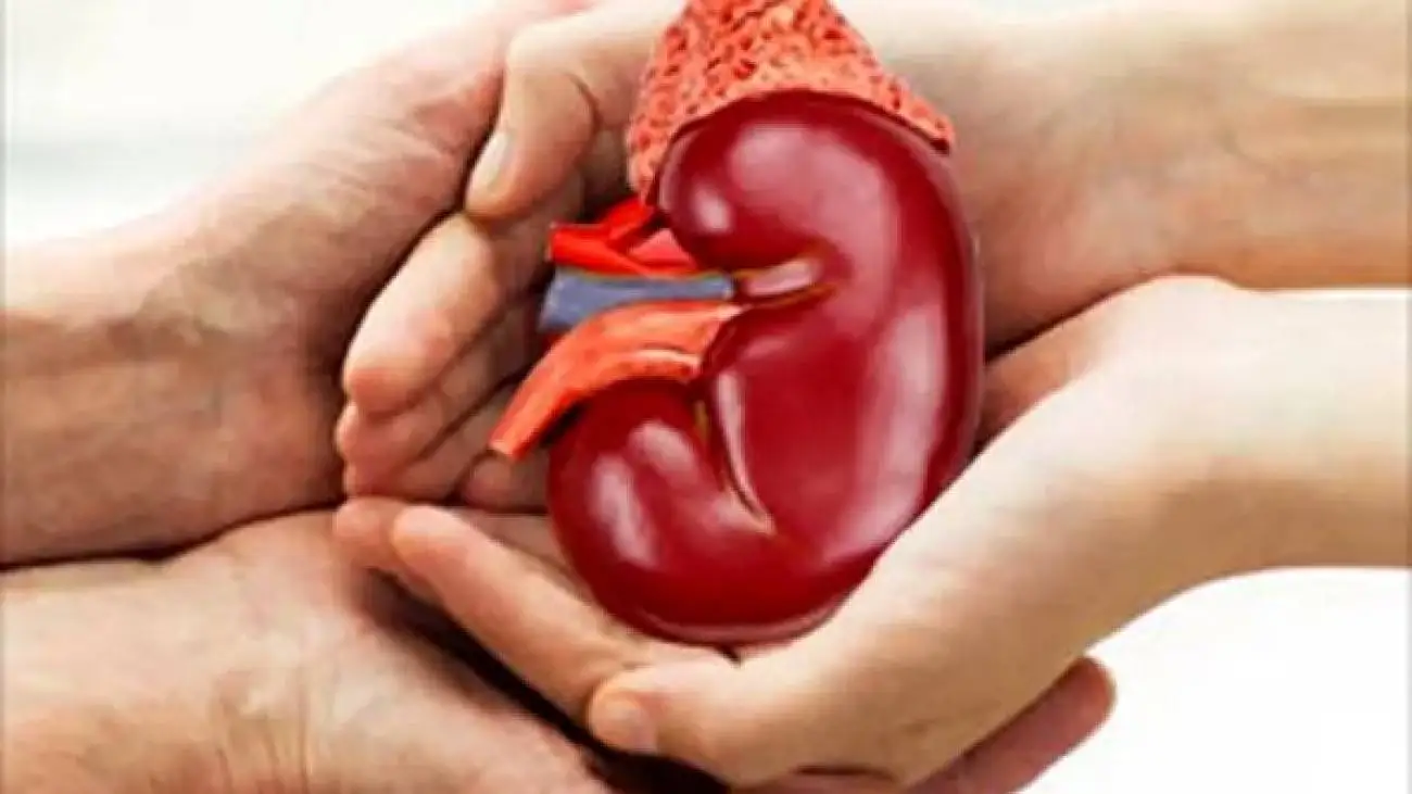 سقوط مرگبار مرد دماوندی از درخت گردو  -  اعضای بدنش اهدا شد