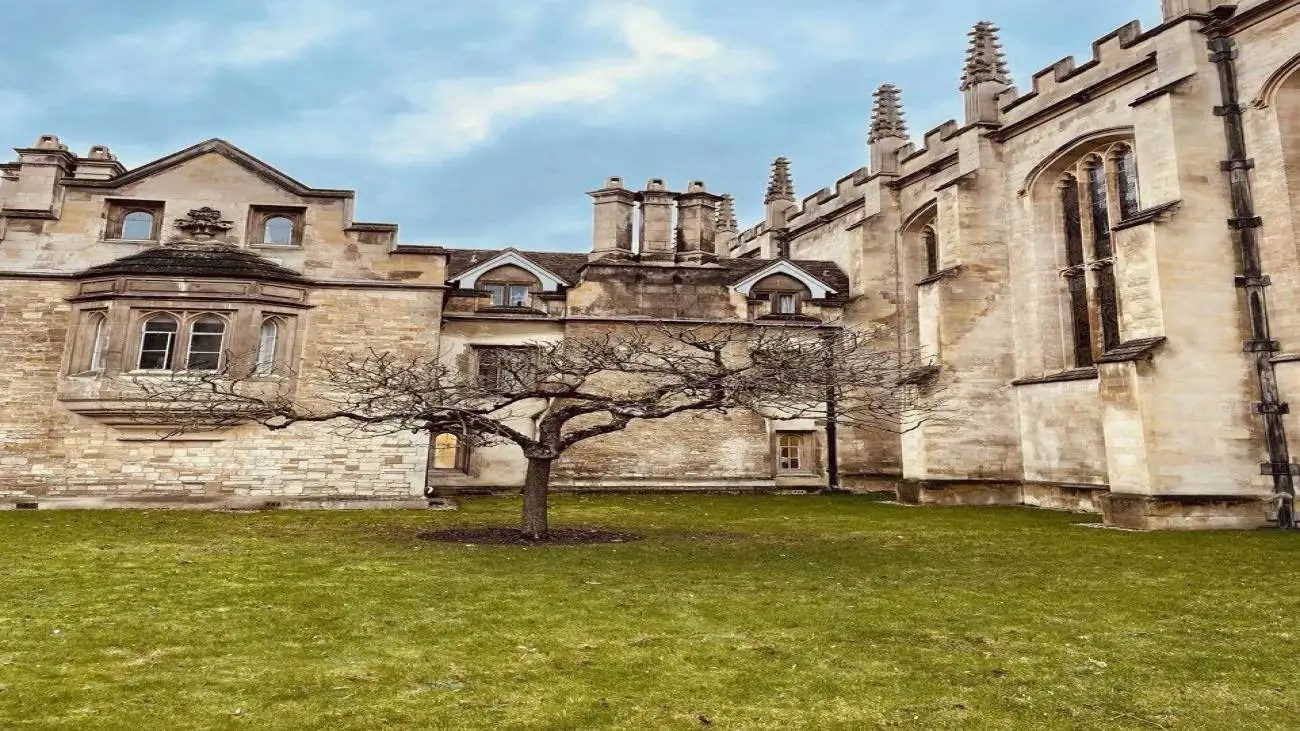 درخت معروف و تاریخی سیب نیوتن در کمبریج + عکس