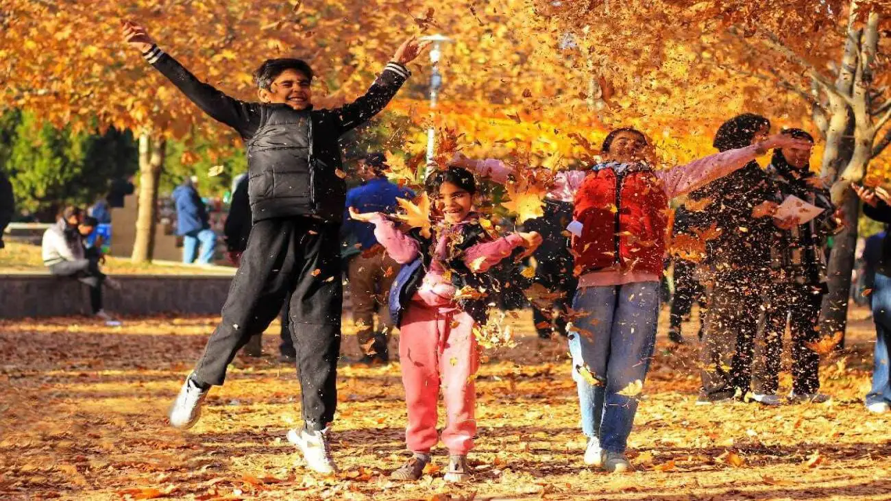 رقص برگ ها در پایتخت تاریخ و تمدن