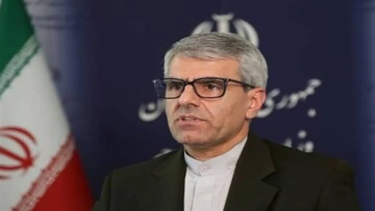 بقائی: نسل کشی در غزه، سخت ترین آزمون برای اعتبار سازمان ملل است