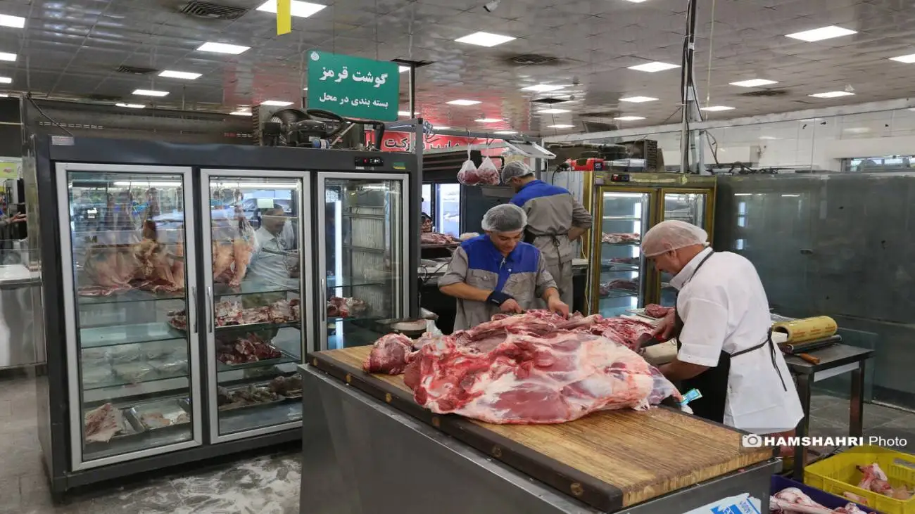 آماده باش گوشت قرمز برای کاهش قیمت  -  گوشت ارزان می شود؟