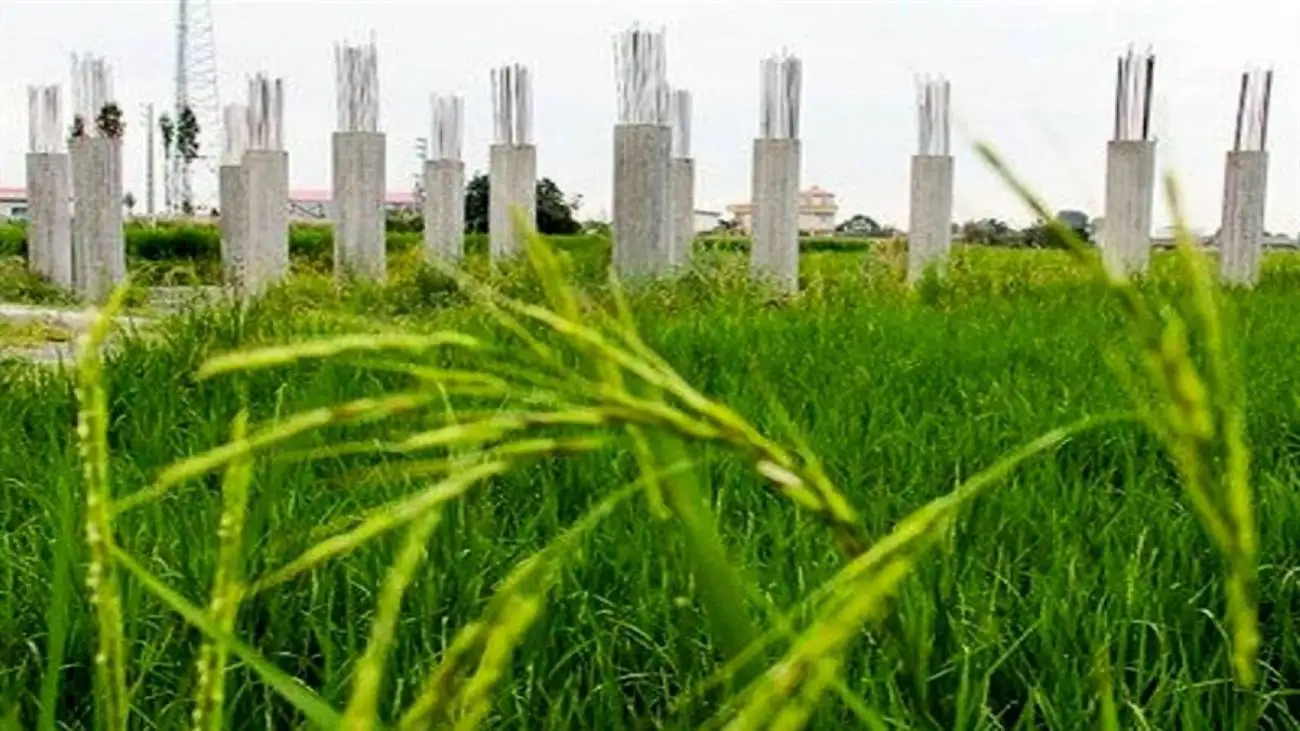 کوچک اما تاثیرگذار در کشاورزی کشور