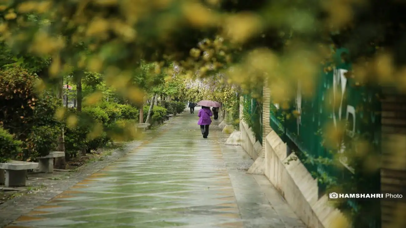ورود سامانه بارشی از شمال غرب کشور  -  تندباد در 4 استان