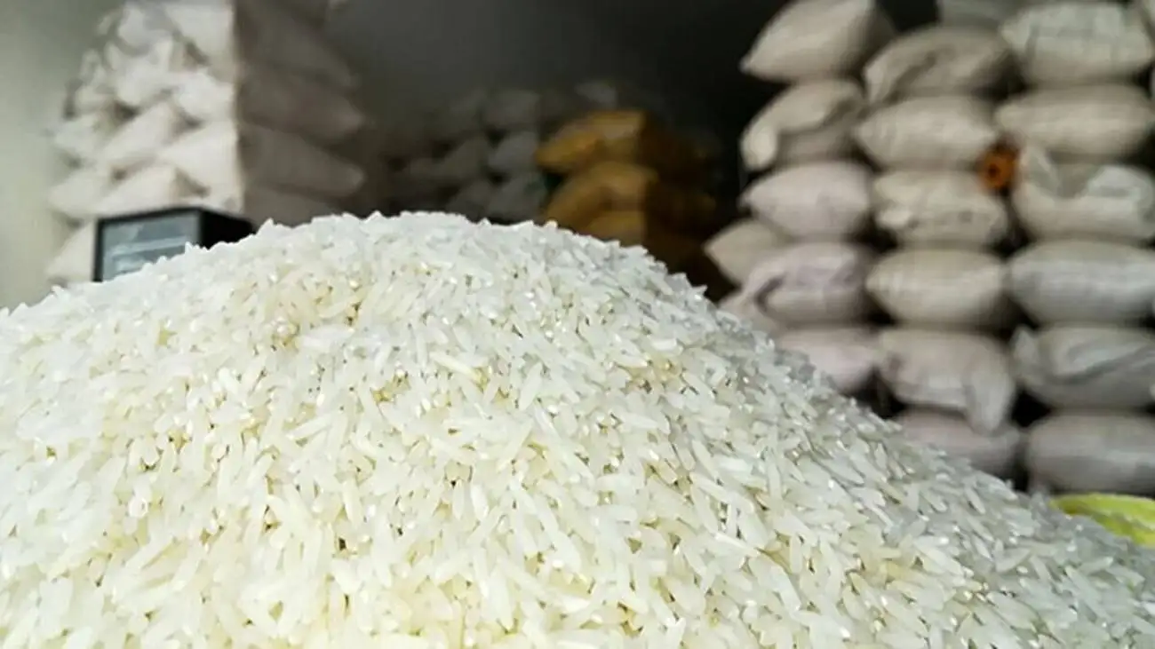 قیمت جدید برنج در میادین و بازار؛ برنج هاشمی و برنج پاکستانی کیلویی چند عرضه می شود؟