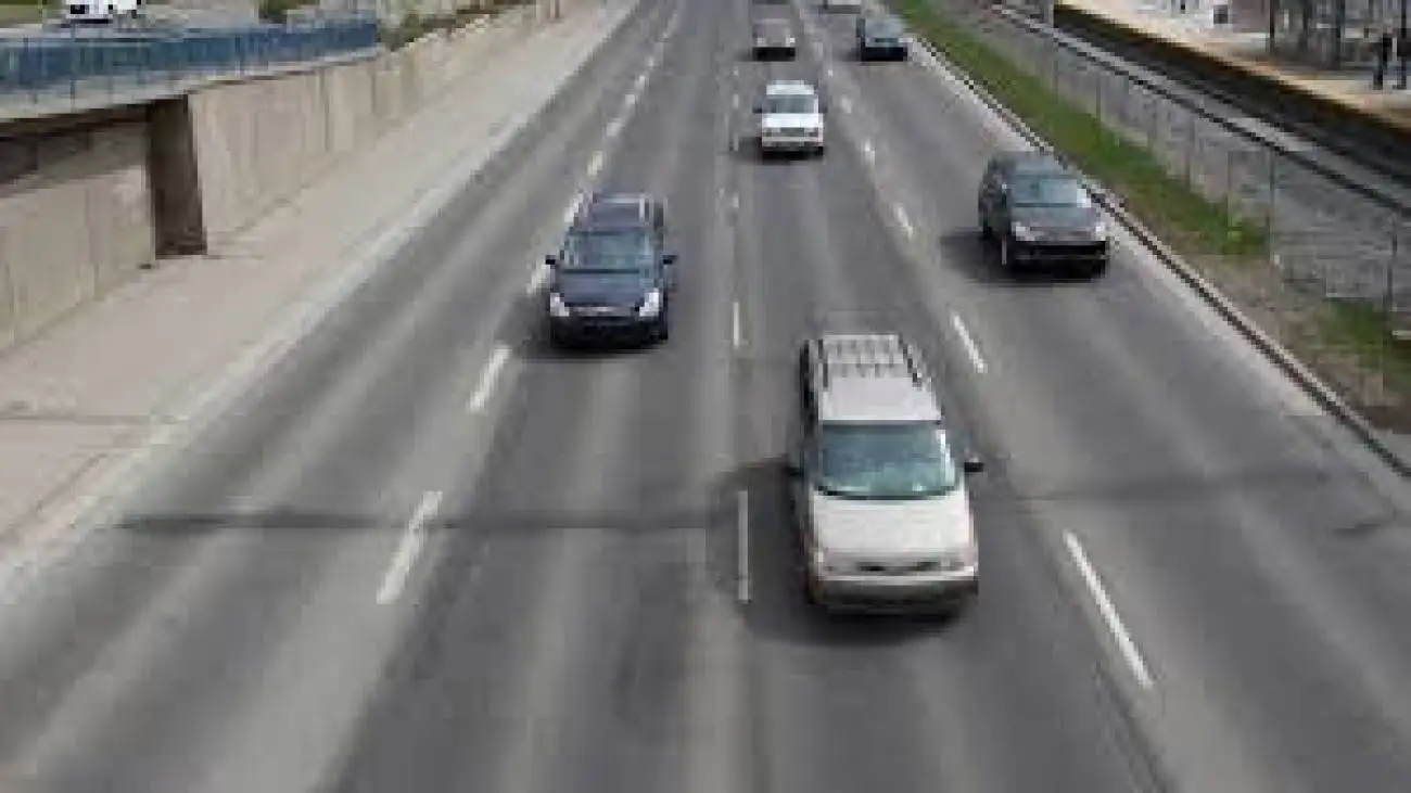 دعوای دو حیوان باعث بست شدن اتوبان شد + ویدئو