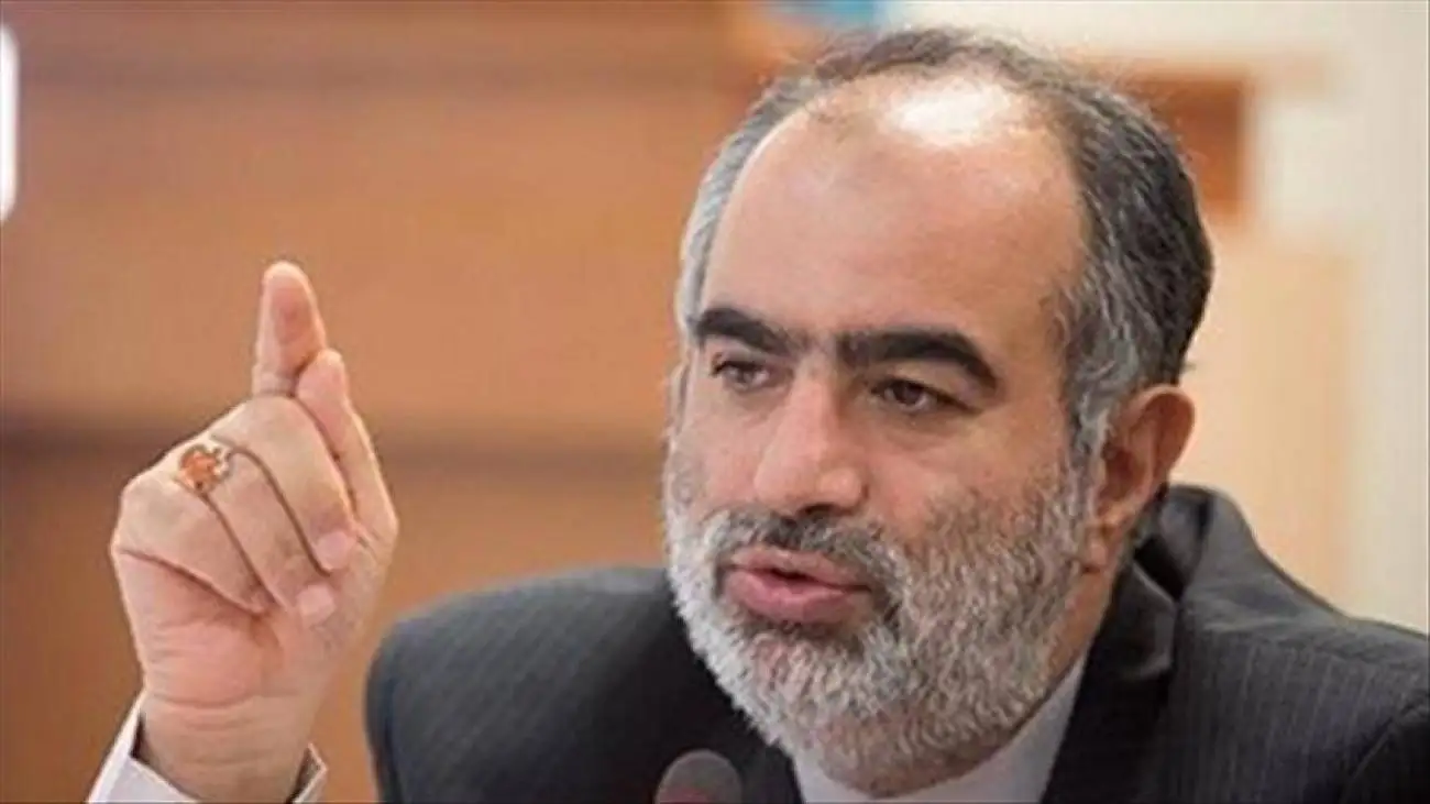 ایران برای دفاع باید (دکترین جوجه تیغی) را انتخاب کند + عکس