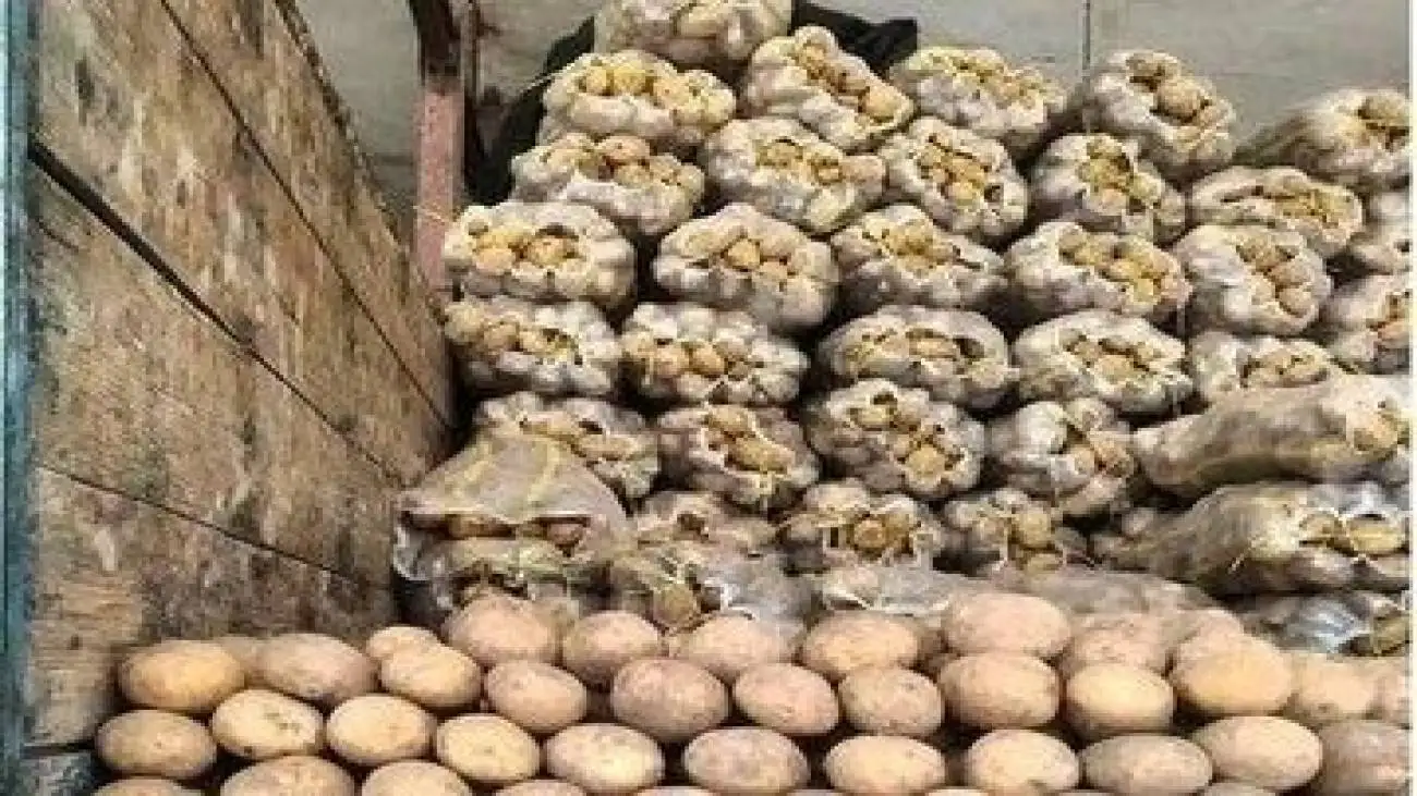 دلیل بحران سیب زمینی از زبان وزیر دادگستری