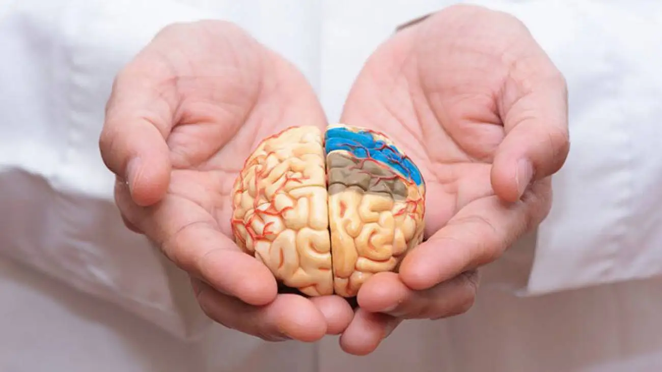 چه کنیم تا آلزایمر نگیریم ؟ ؛ رازهای پیشگیری از آلزایمر از زبان متخصصان