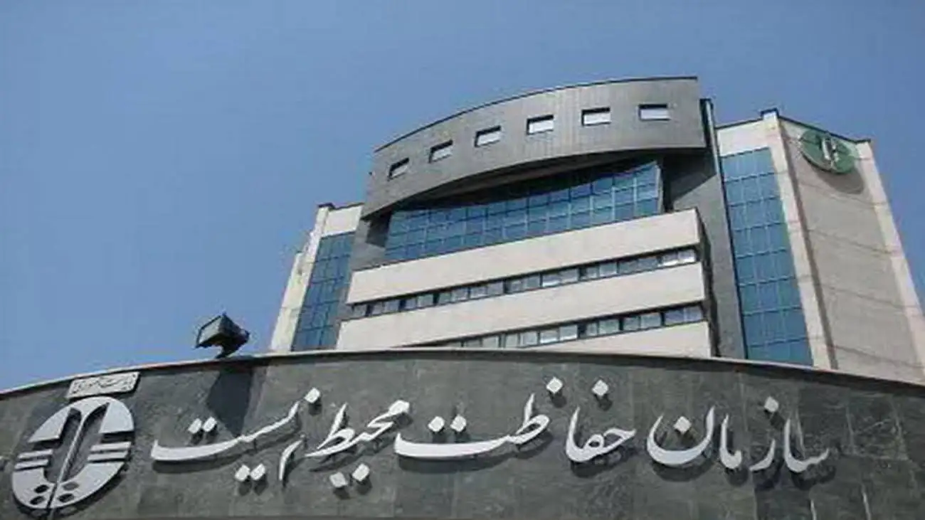 ماجرای سفر لاچری رئیس سازمان محیط زیست با کشتی کروز  -  چند نفر با شینا انصاری به برزیل رفتند؟