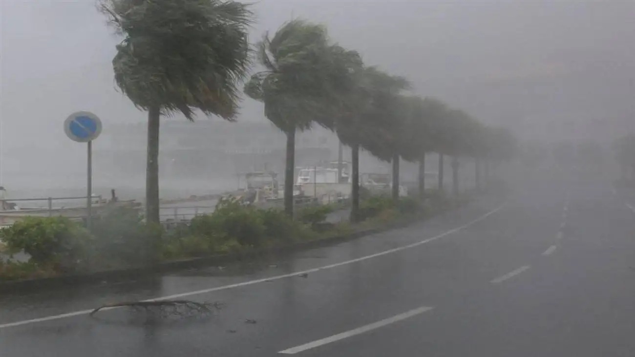 سقوط جرثقیل غول پیکر در فرانسه!  -  ویدئو