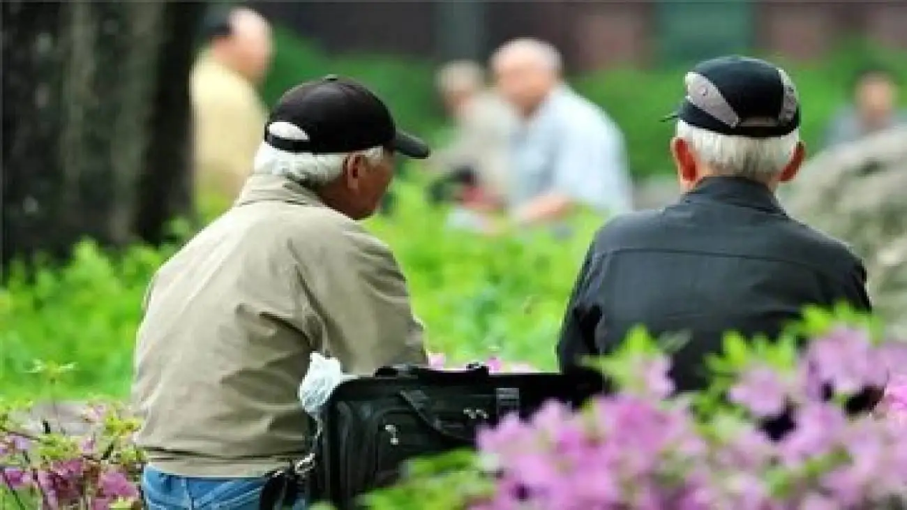 آمار جدید از وضعیت بازنشستگان -  امسال چند نفر بازنشسته شدند؟