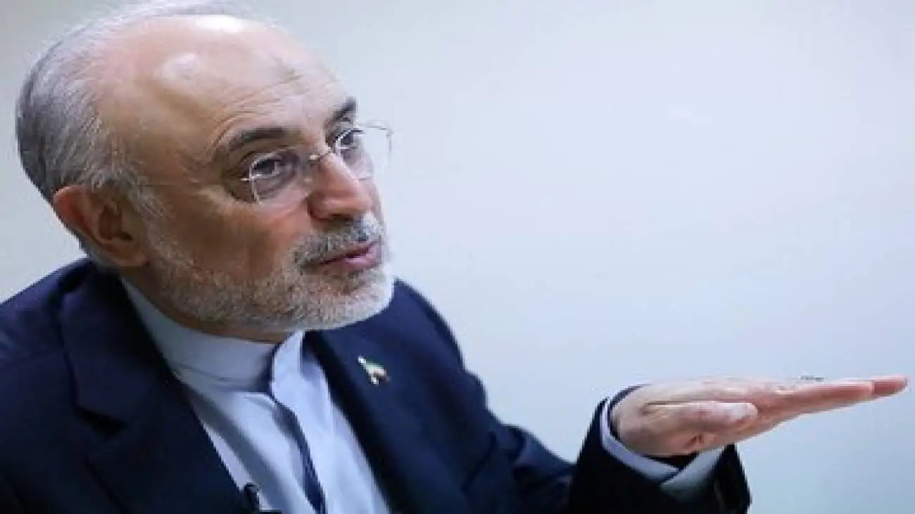 رضا نصری: علی اکبر صالحی شایسته ترین گزینه نه برای مدیریت یک سفارتخانه، بلکه برای عهده دار شدن سمت پیشنهادی (نماینده ویژه ایران در جهان عرب) است