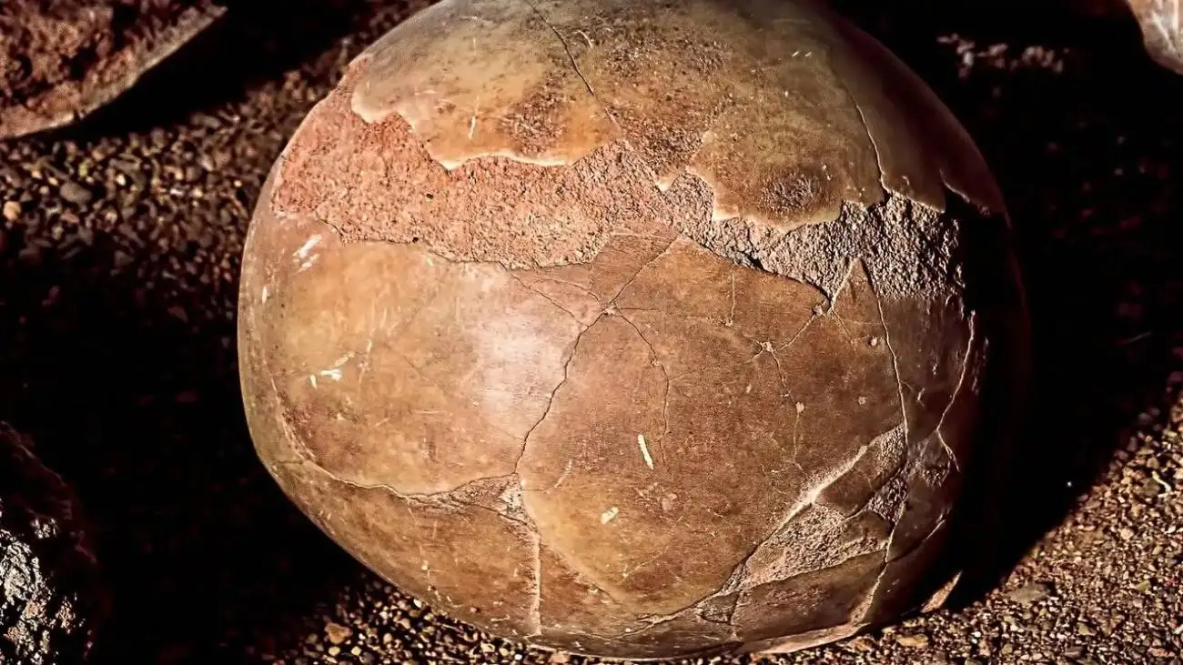 مایع داخل این تخم مرغ 1700 ساله  هنوز سالم است!