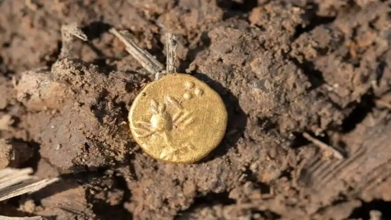 کشف سکه های باستانی در یک مکان غیرمنتظره! + عکس