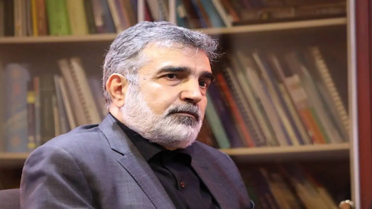 ویدیو  -  سخنگوی سازمان انرژی اتمی: همکاری ها را به سطح عادی می رسانیم اگر...