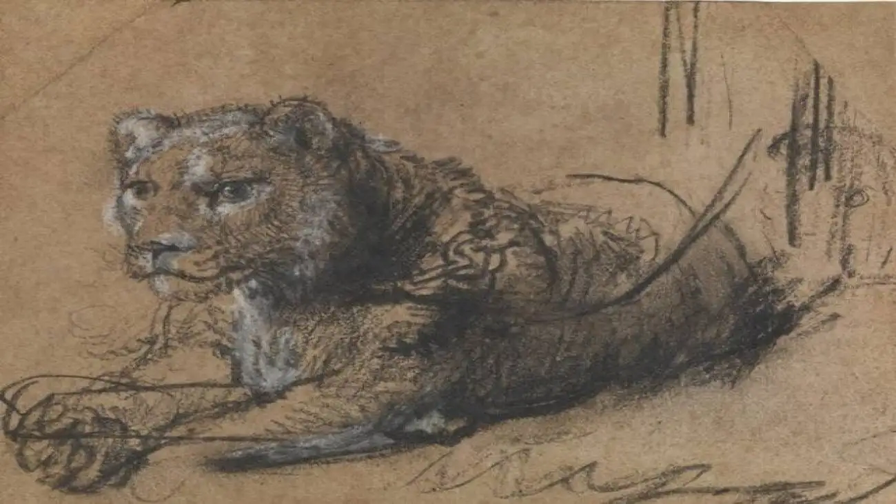 شیر 18 میلیون دلاری!  -  ببینید