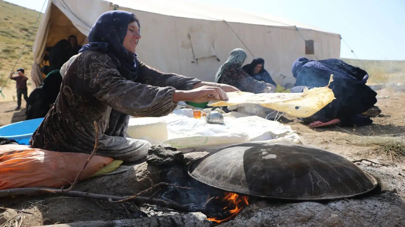 بوی نان تازه می آید همی!