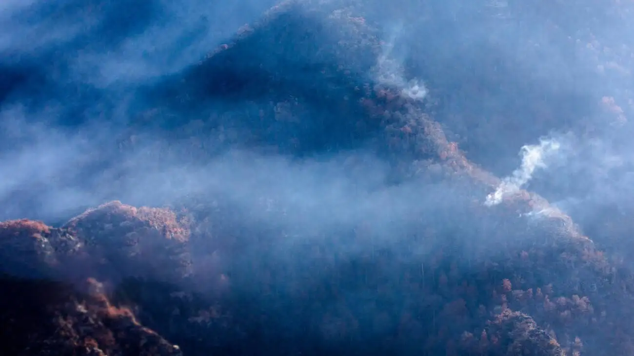 نخستین باران در الیت  -  وضعیت آتش جنگل  های هیرکانی  چگونه است؟ + ویدیو