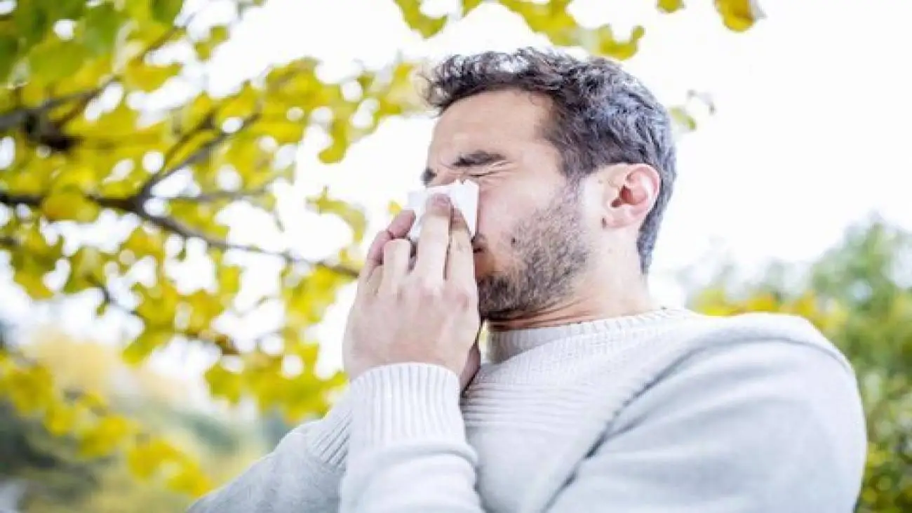 11 خوراکی ضد التهاب برای کنترل آلرژی در بهار