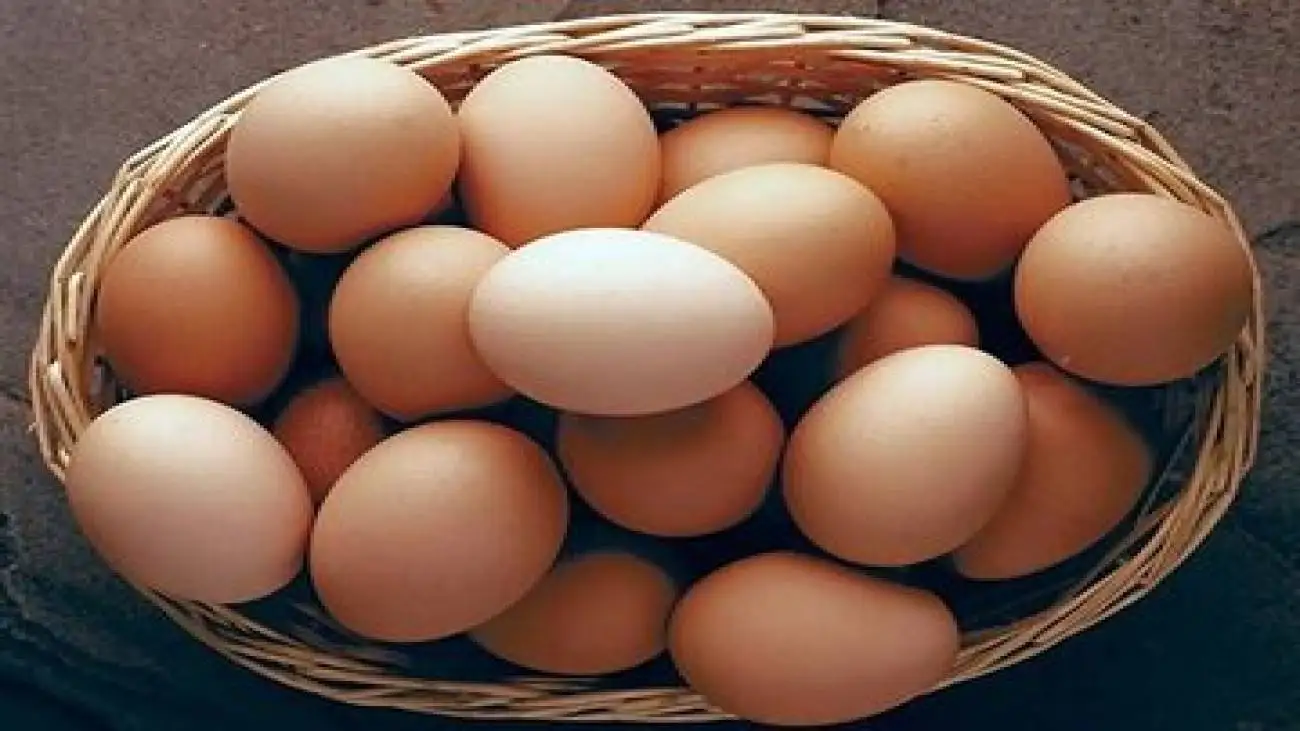قیمت تخم مرغ به شدت کاهش یافت -  یک شانه تخم مرغ چند؟