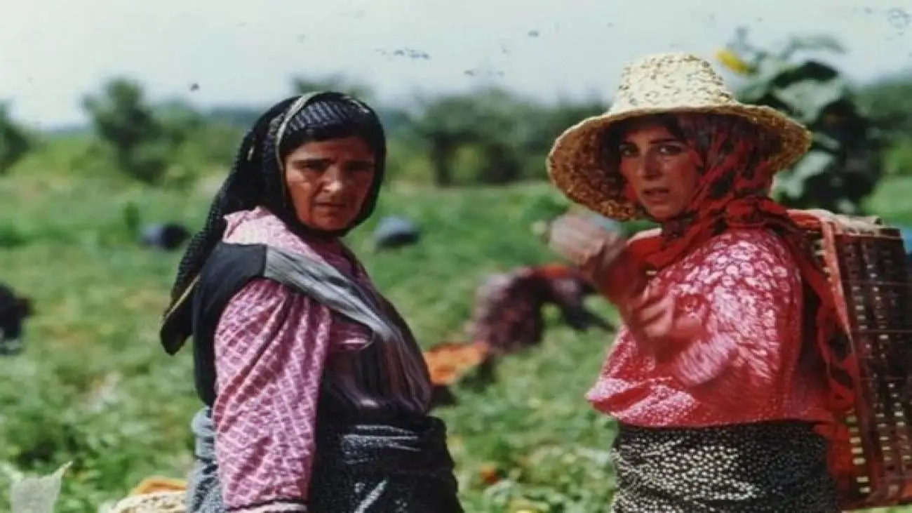 جای خالی فیلم سازان زن آزار دهنده است