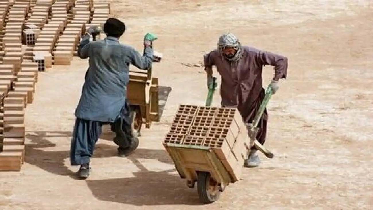 هشدار درمورد بازار سیاه کار؛ مهاجران غیرمجاز چه نقشی دارند؟