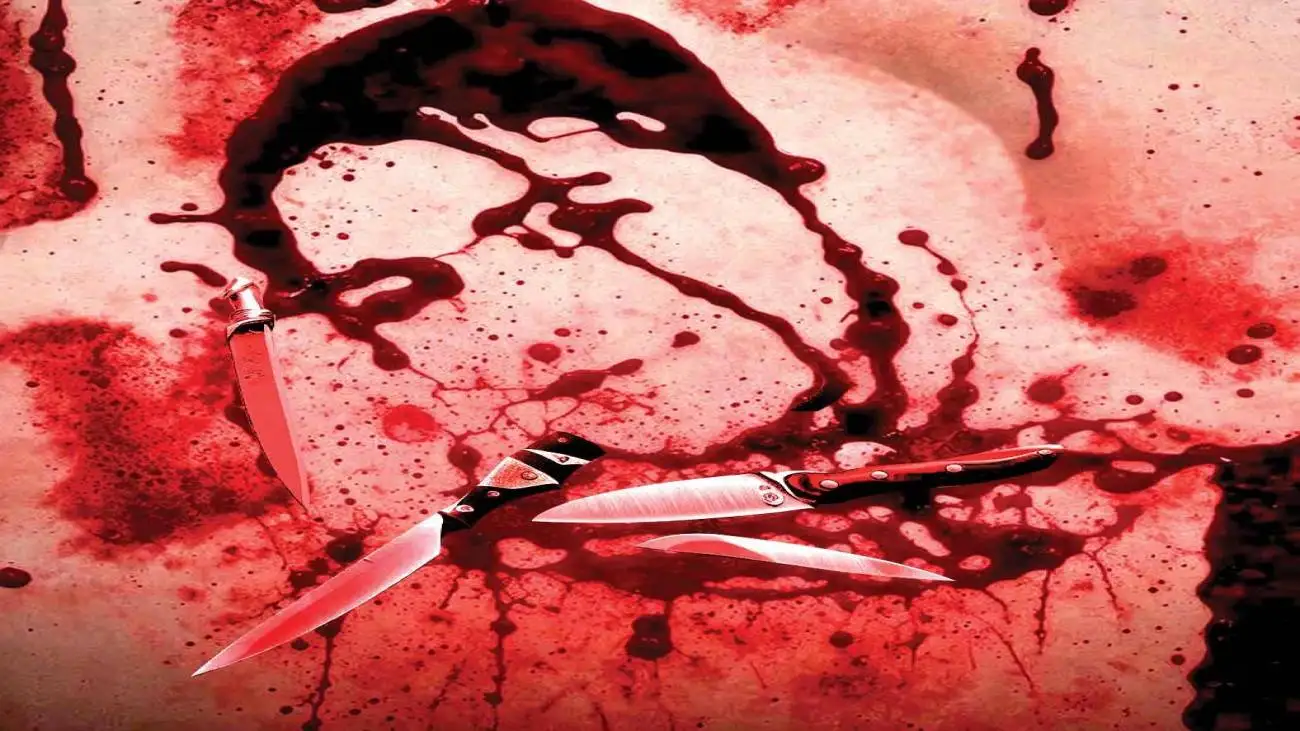 لایه های پنهان قتل الهه حسین نژاد  -  قرائی مقدم: این پرونده  را فقط به فقر و مشکل خانوادگی ربط ندهید