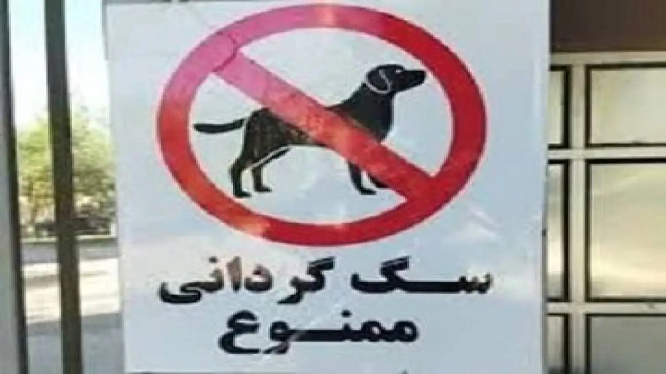 سگ گردانی در این استان ممنوع شد