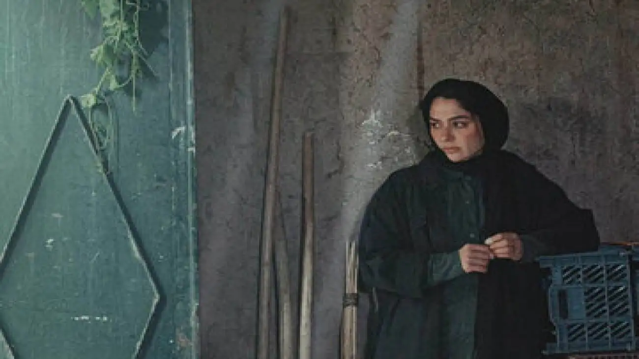 (در آغوش درخت) بهترین فیلم جشنواره کانادایی شد