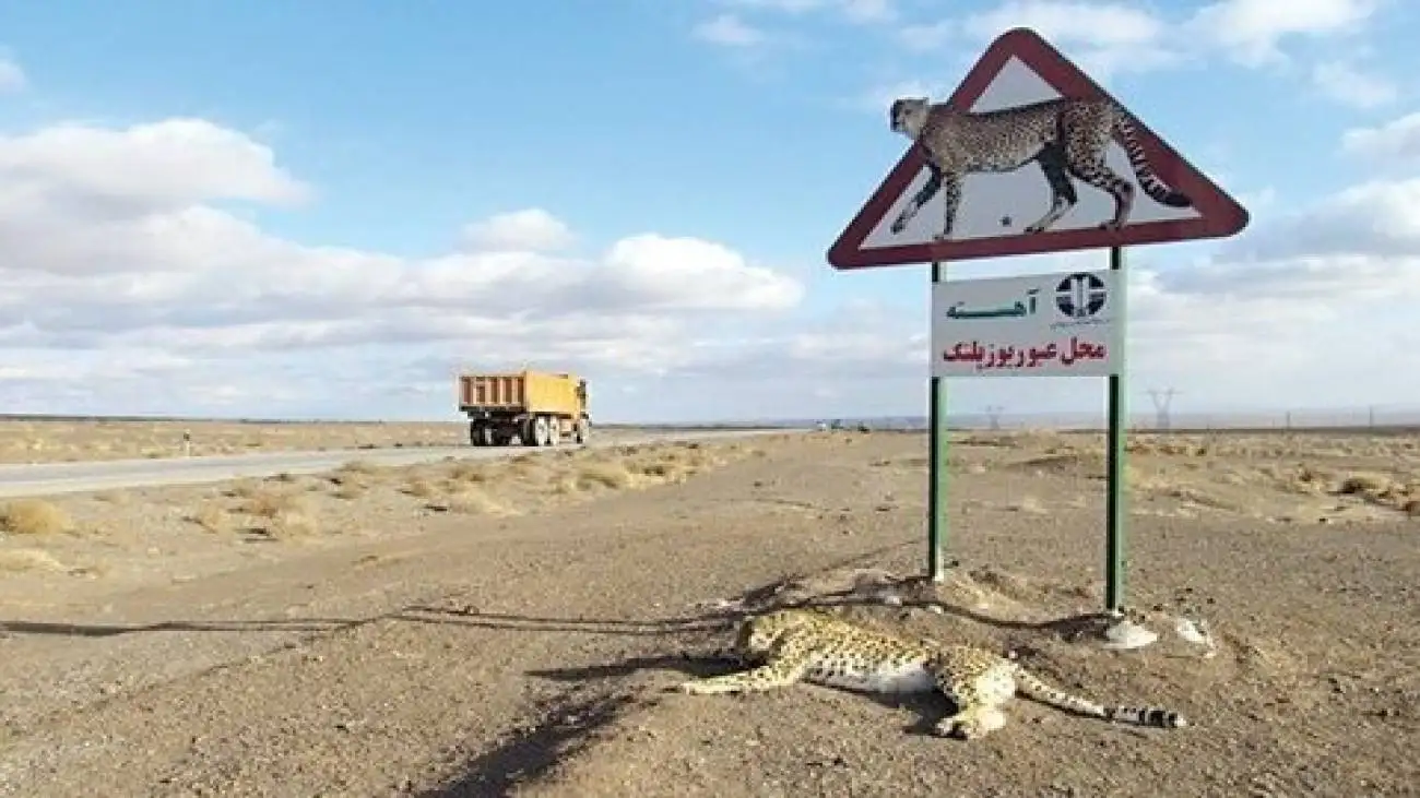در این جاده ها آرام برانید