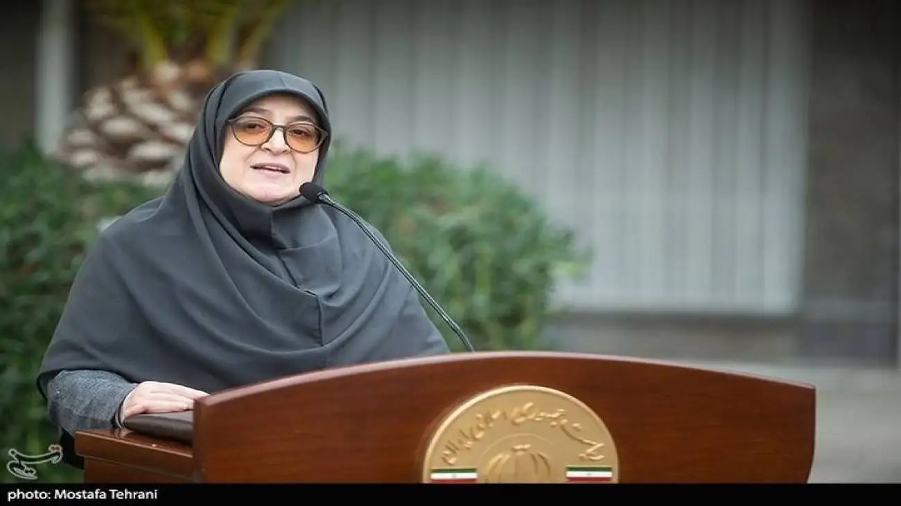 ویدیو  -  مهاجرانی: دولت تصمیم نهایی درمورد نان را اعلام می کند