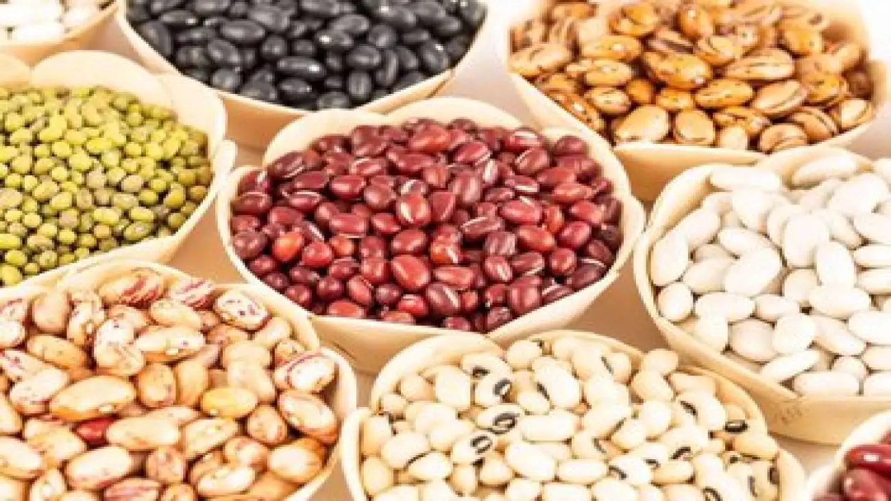 آخرین وضعیت بازار حبوبات ایران -  لپه چی: احتمال کاهش قیمت ها وجود دارد