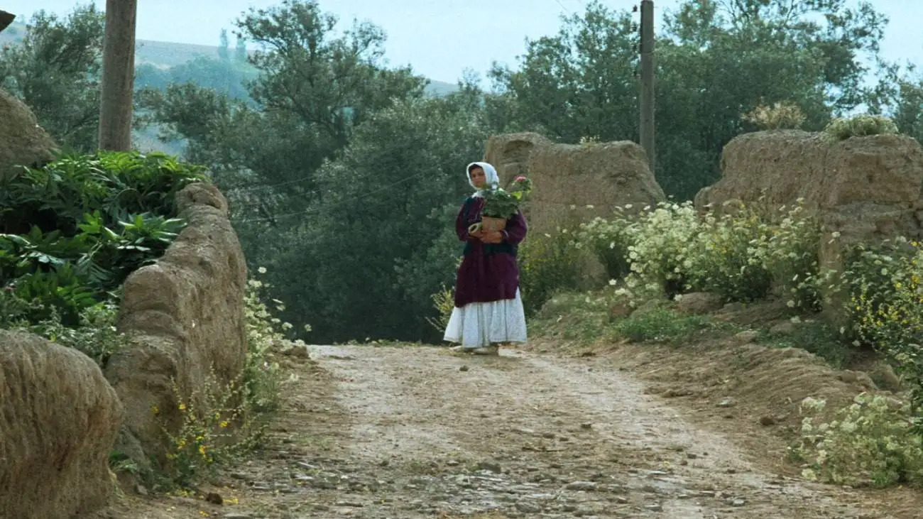 کمتر جهانی، بیشتر محلی  -  جشنواره جهانی فجر چه سودایی در سر دارد؟