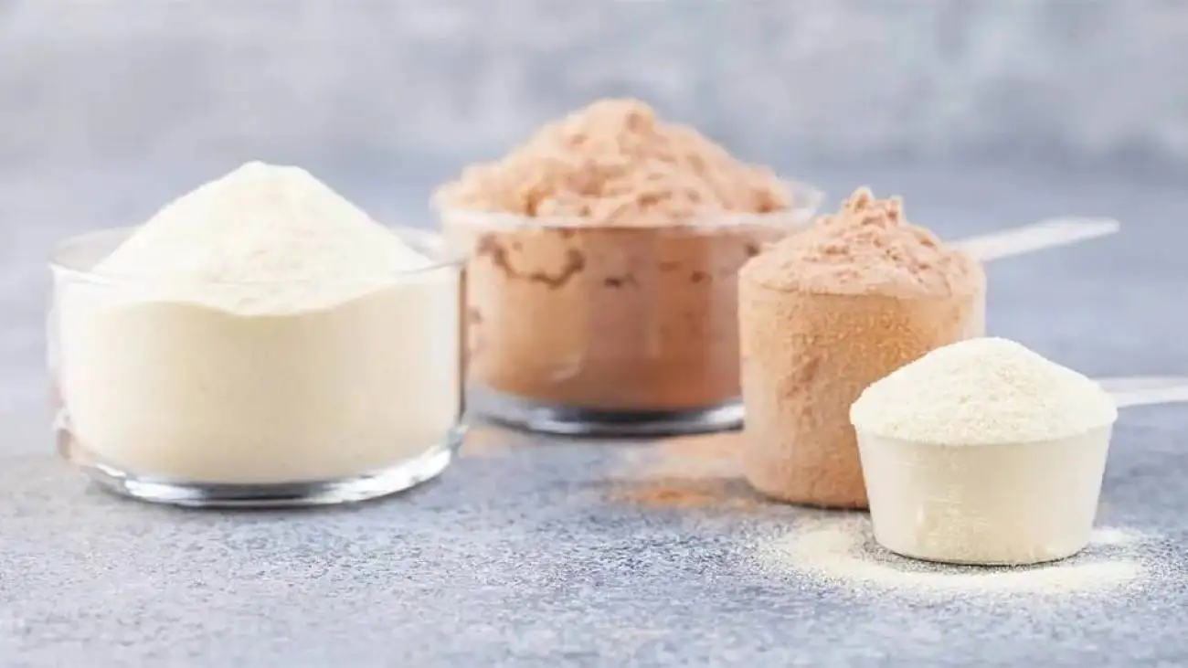 کدام پروتئین سریع تر عضله می سازد؛ وی یا پروتئین گیاهی؟