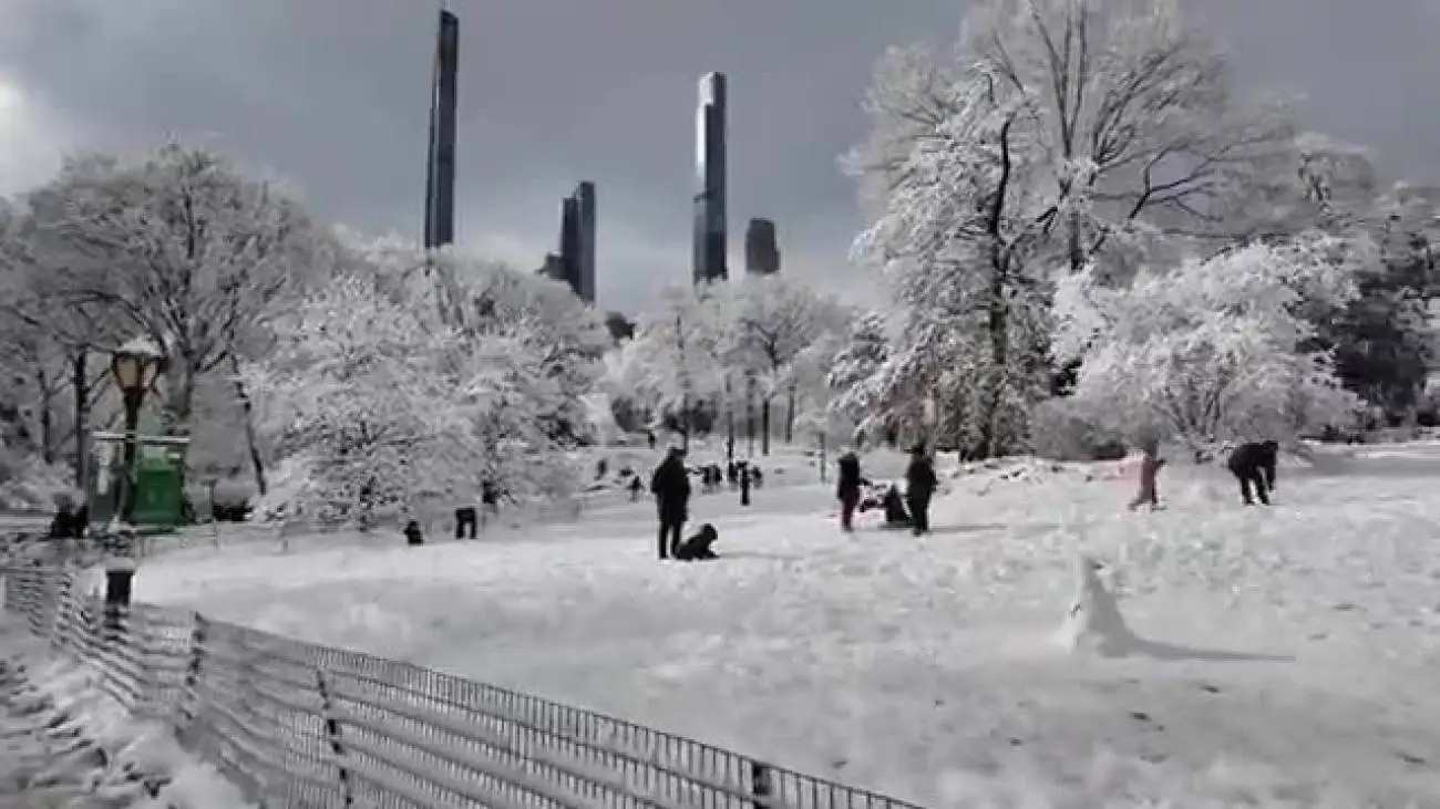 طوفان برفی و صحنه ای از پارک مرکزی نیویورک + ویدئو