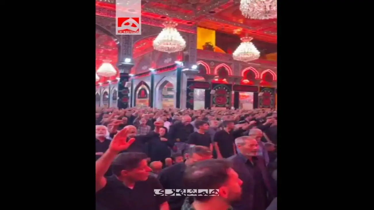طنین (ابالفضل علمدار خامنه ای نگهدار) در حرم سیدالشهدا(ع)  -  ویدئو