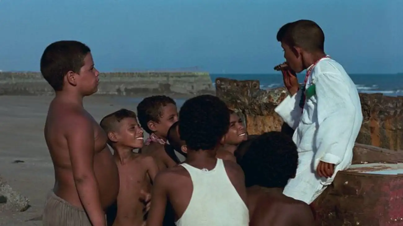 از (باشو غریبه کوچک)  بیضایی تا (سازدهنی) نادری در جشنواره فیلم کودک