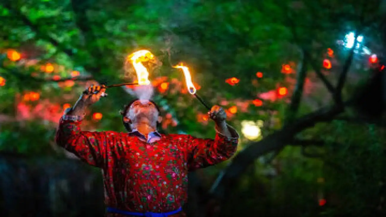 از سیاه بازی خردسالان تا اجرای هیجان انگیز زوج لافندباز گیلانی -  عکس