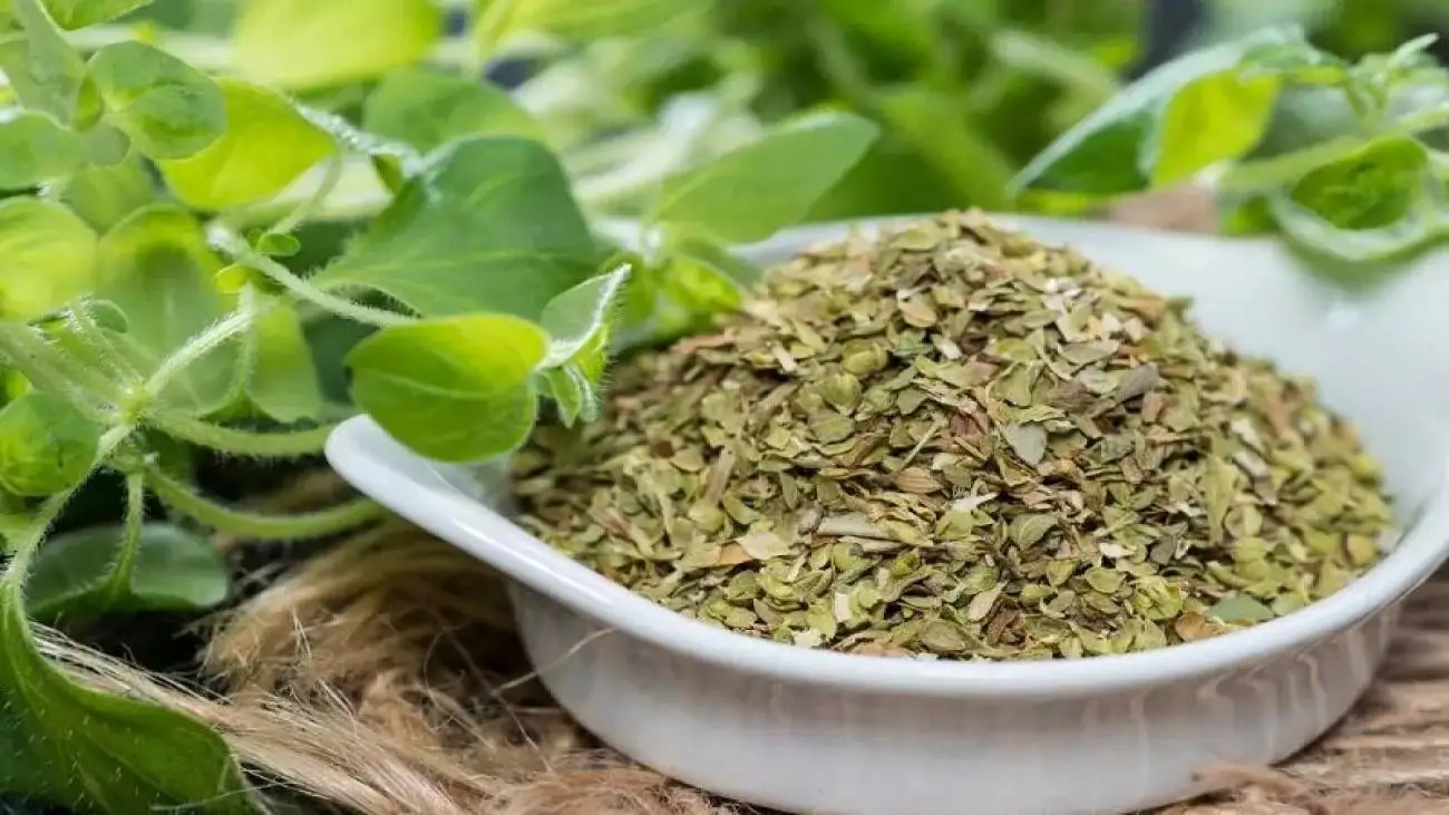 آویشن؛ دارویی مناسب برای شکم درد و آروغ های بدبو