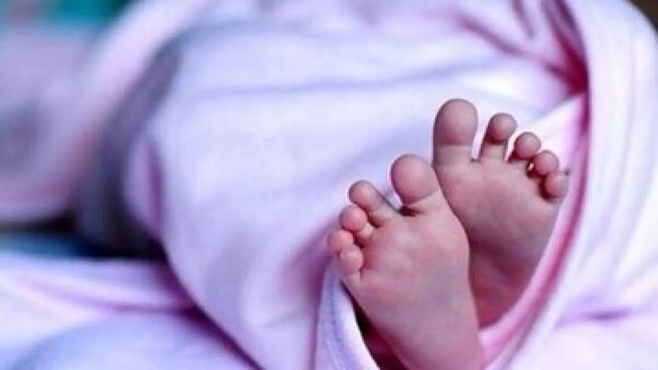 چند نوزاد در جنگ 12 روزه متولد شدند؟