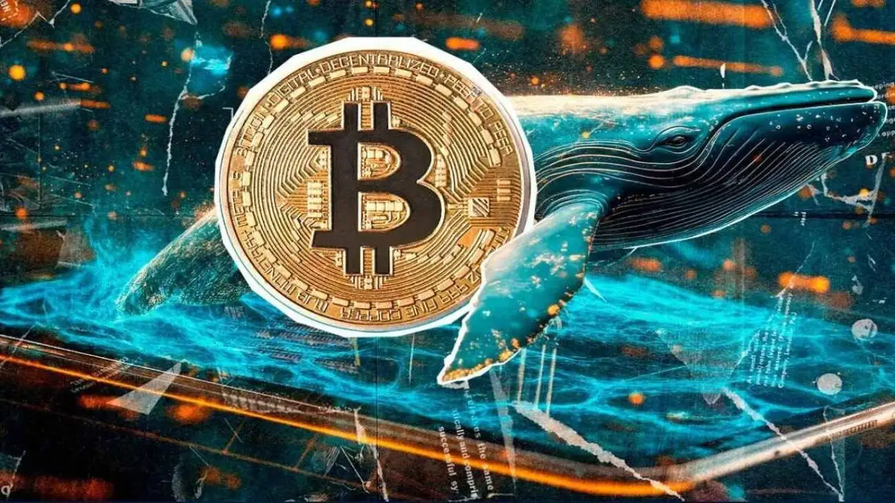 نهنگ خفته بازار بیت کوین را نجات داد؛ آخرین وضعیت بازار رمزارزها در جهان