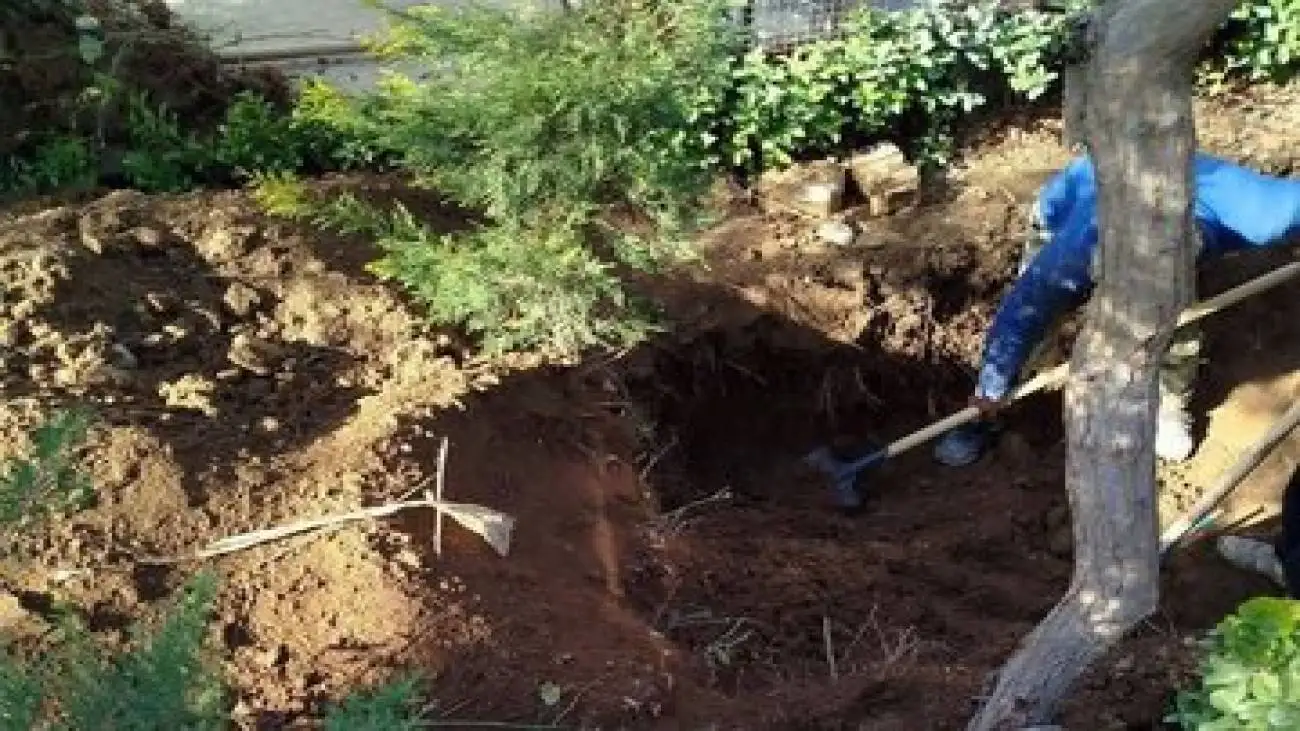 افشای جنایت عاشقانه در تهران؛ جسد سوخته پس از 4 سال شناسایی شد -  تصاویر