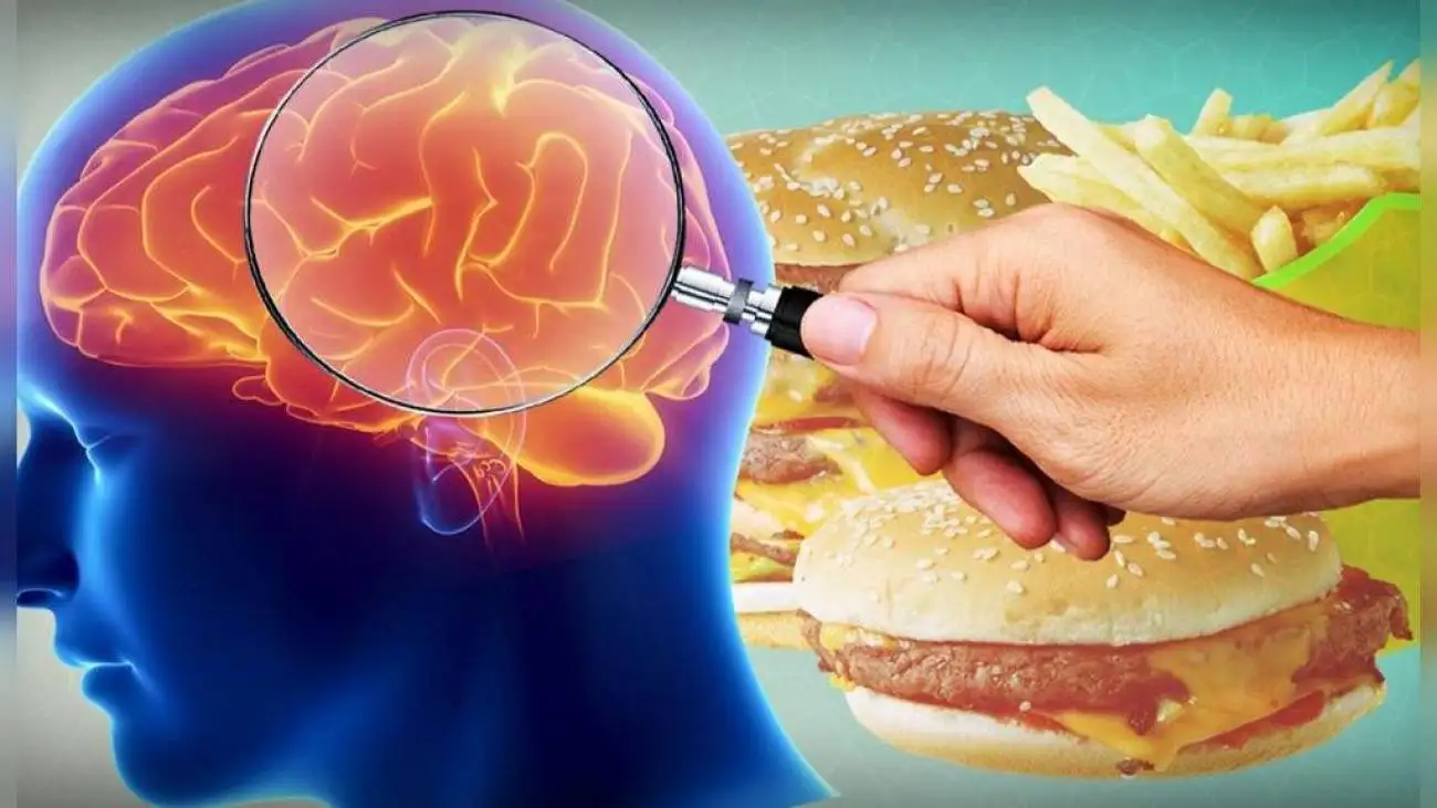 مختل شدن عملکرد مغز با مصرف فست فودها