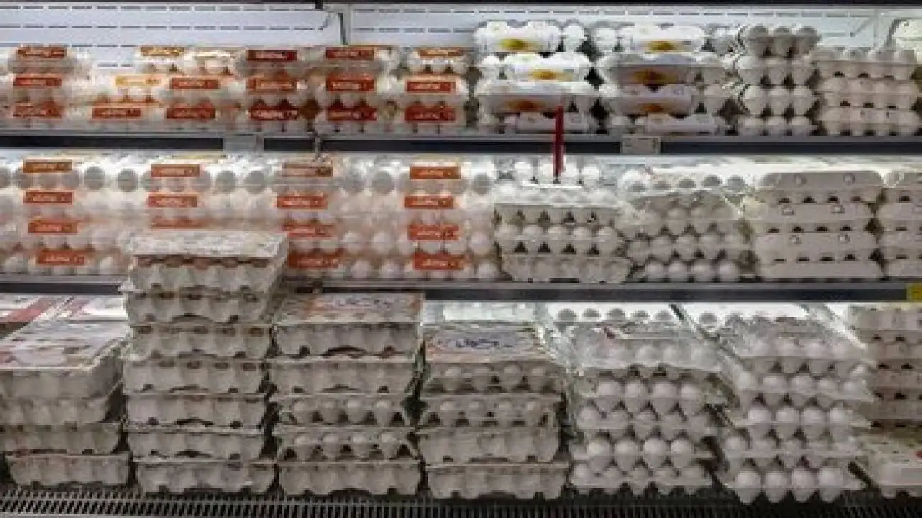 چرا شانه تخم مرغ به 250 هزار تومان رسید؟