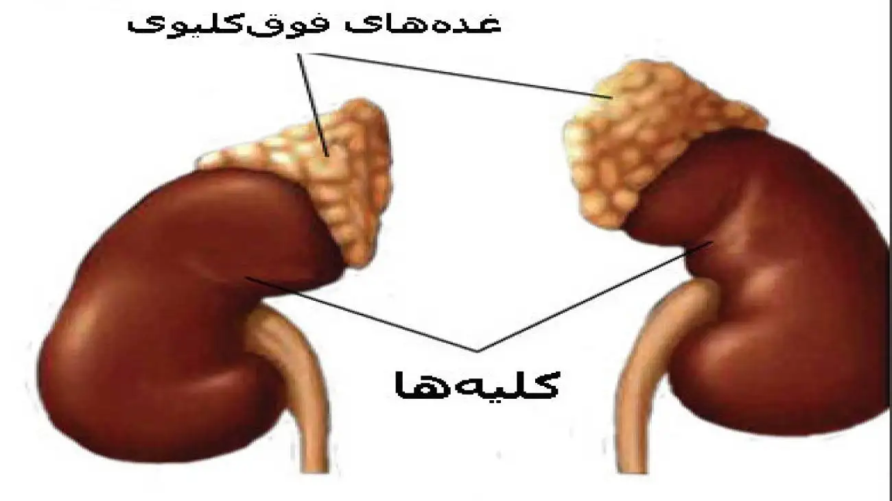 یک دلیل فشار خون بالا که معمولا پزشکان  نادیده می گیرند