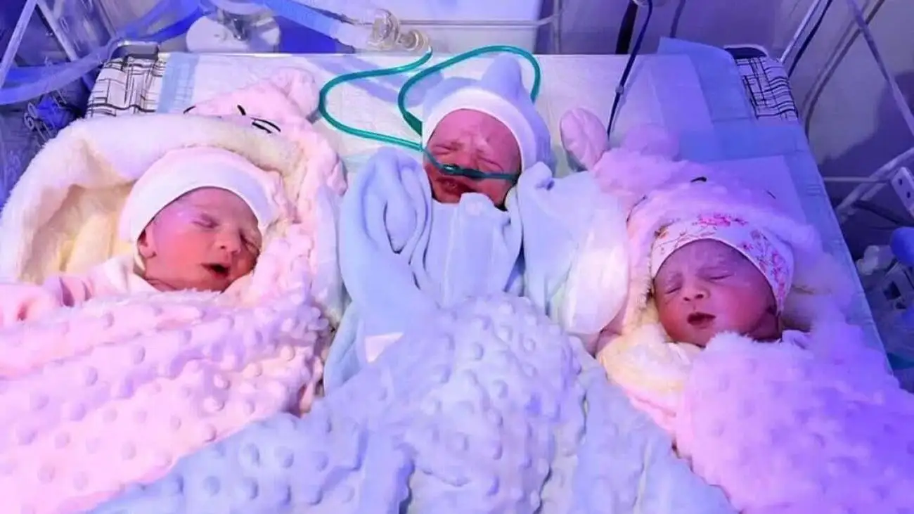 مادر 40 ساله کاشانی صاحب سه قلو شد  -  وزن دخترها به دو کیلو می رسد