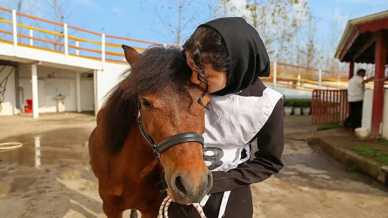 زیبایی اسب اصیل نژاد کاسپین را ببینید + تصاویر