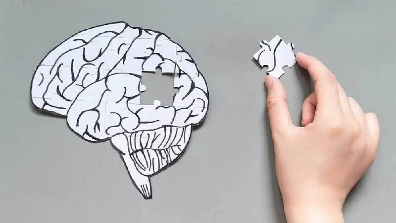 مضرترین غذاها برای مغز را بشناسید