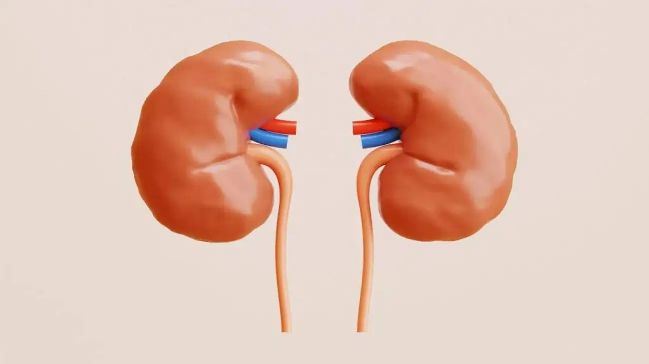 این علائم هشداردهنده بیماری کلیوی را نادیده نگیرید